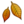 Fallen_leaf